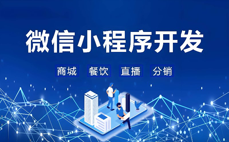 阳阳网络科技